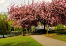 Runde um die Alster